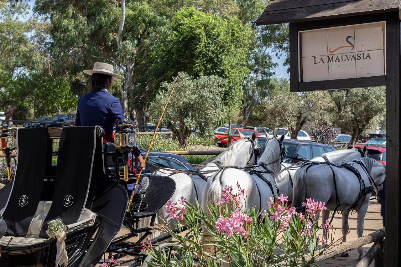 Hotel La Malvasia إل روثيو إسبانيا